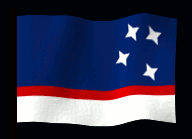 argpatflag